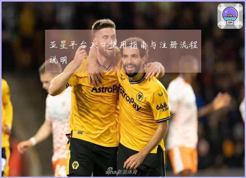 亚星平台入口使用指南与注册流程说明