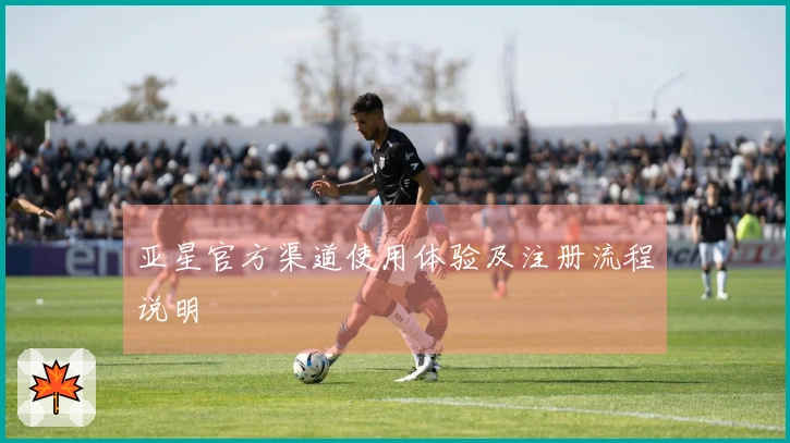 亚星官方渠道使用体验及注册流程说明